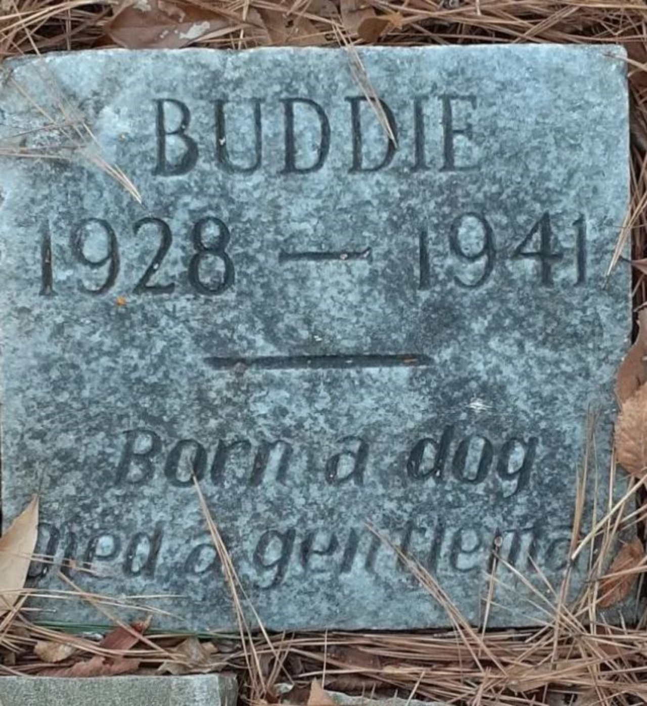 Una lapide a nome Buddie