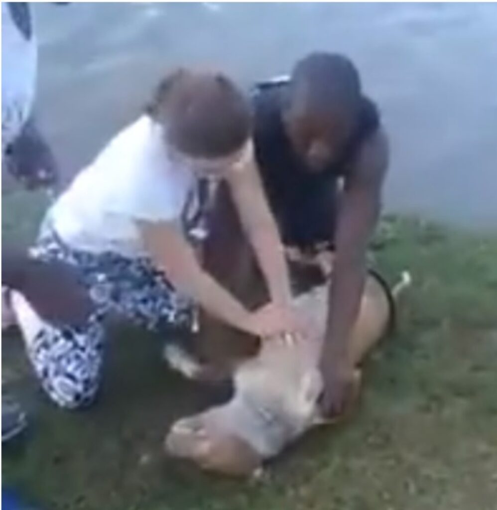 Cane annegato viene salvato da uno sconosciuto