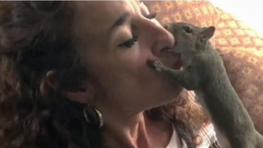 Donna salva uno scoiattolo