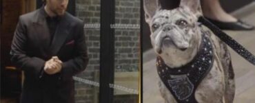 henry cavill con bulldog