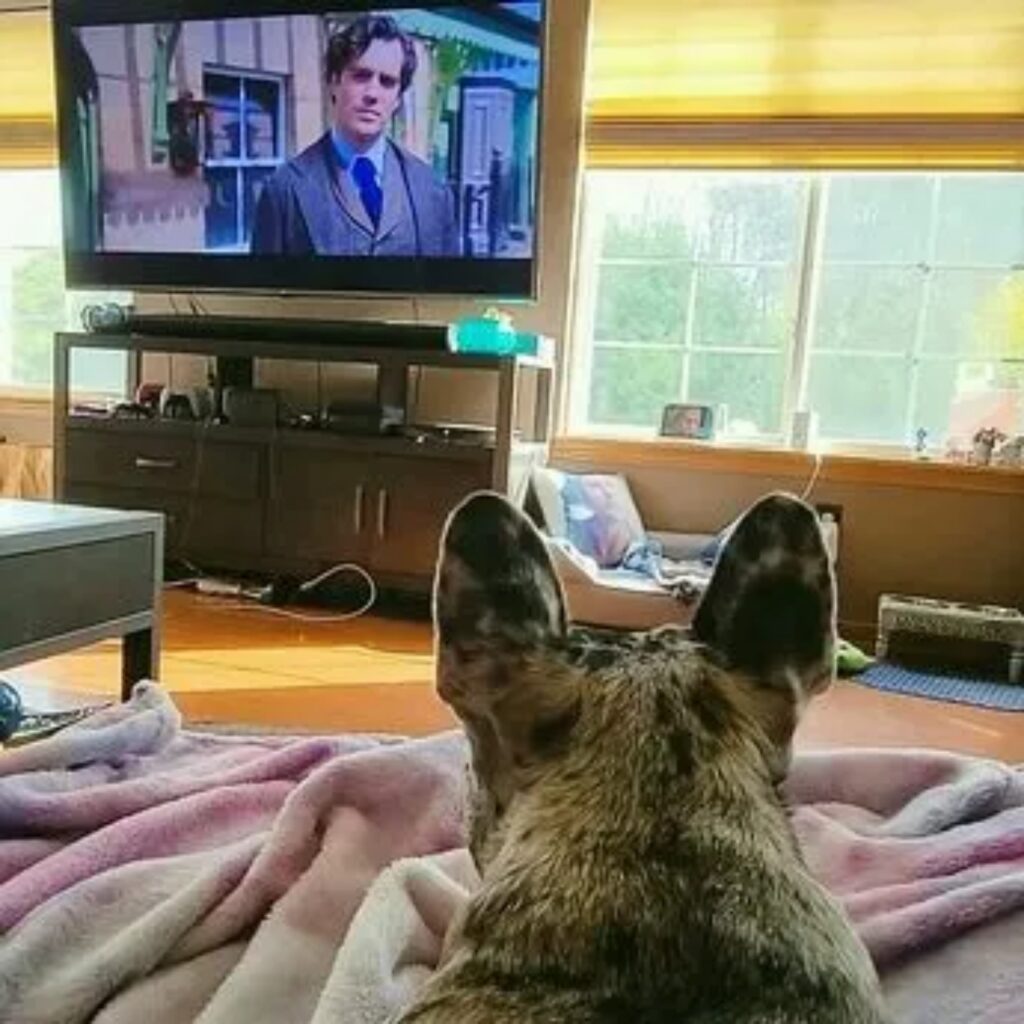 rory guarda la tv