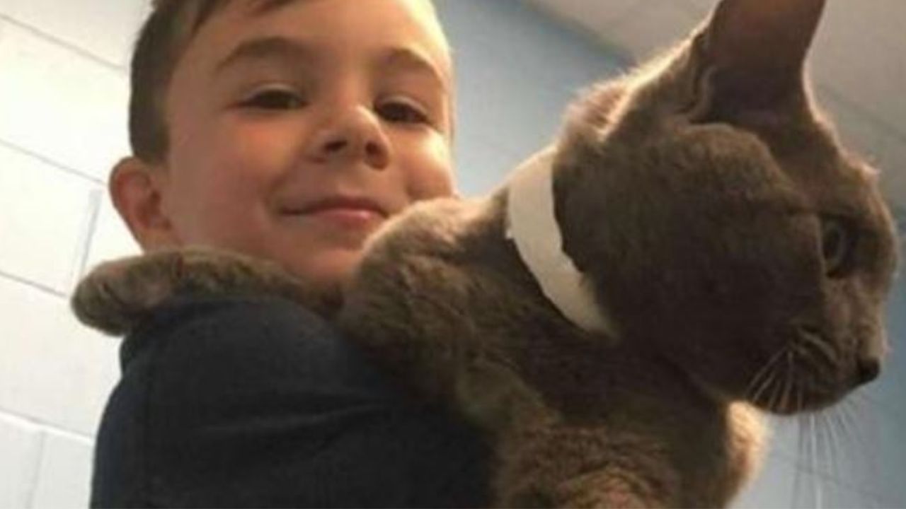 un bambino di nome Ari con un gatto in braccio