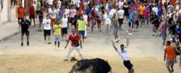 un toro ad una festa