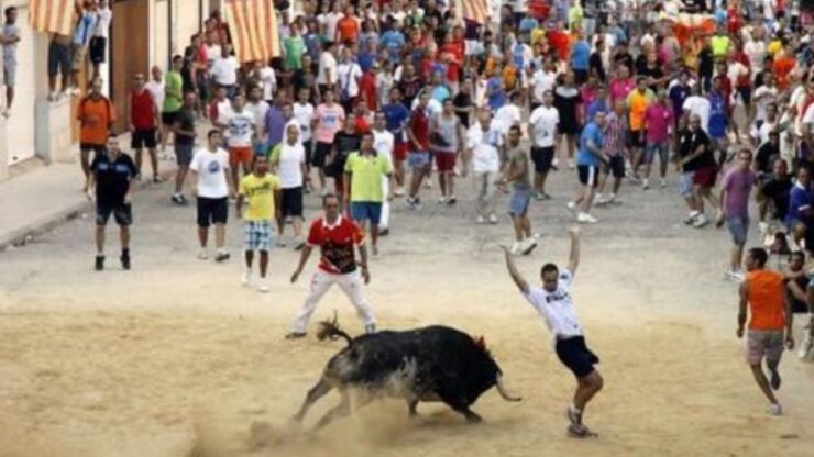 un toro ad una festa