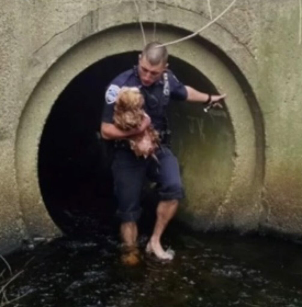 agente esce dal tunnel