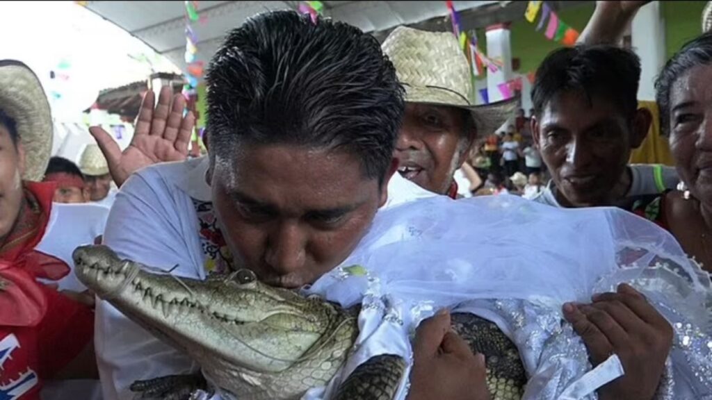 Uomo si sposa con un rettile