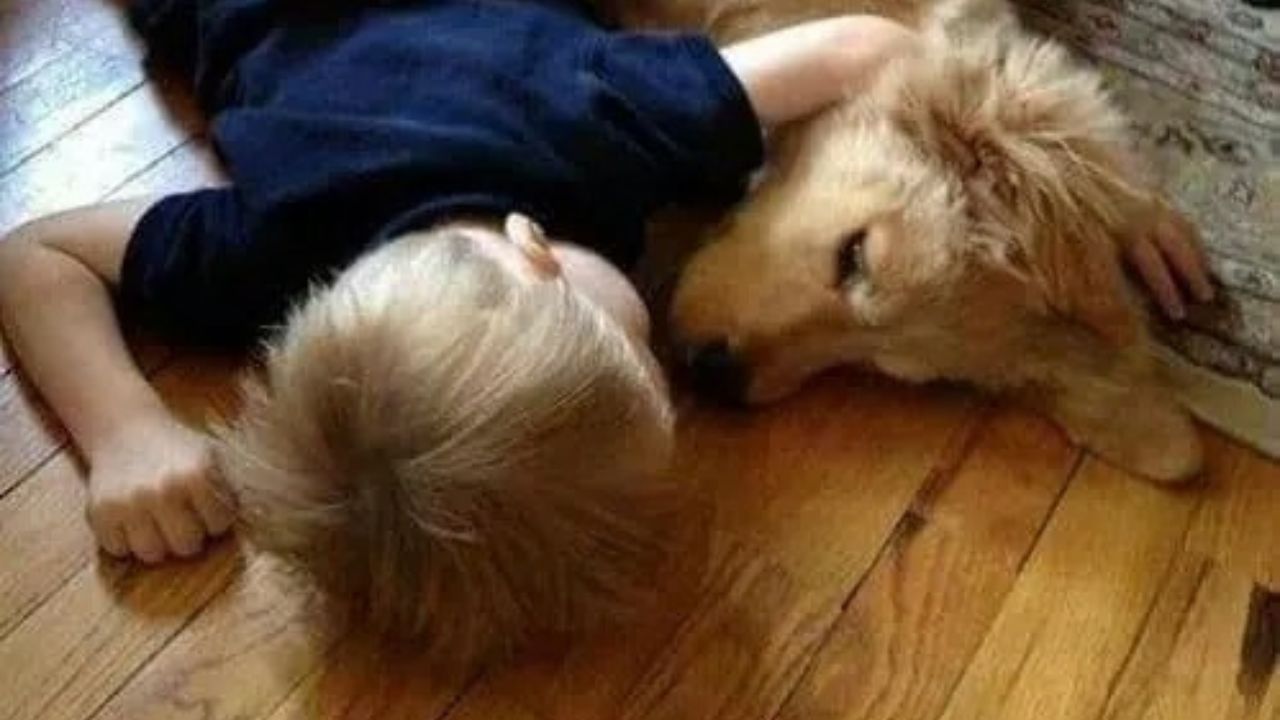 Cane e bimbo riposano sul pavimento