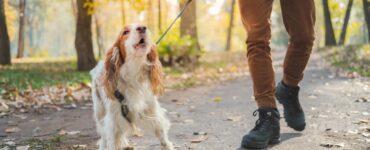 4 consigli passeggiata