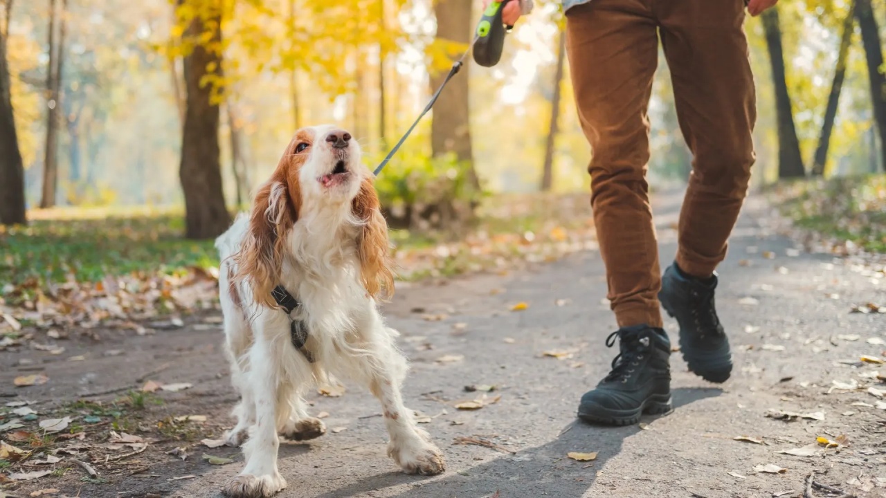 4 consigli passeggiata