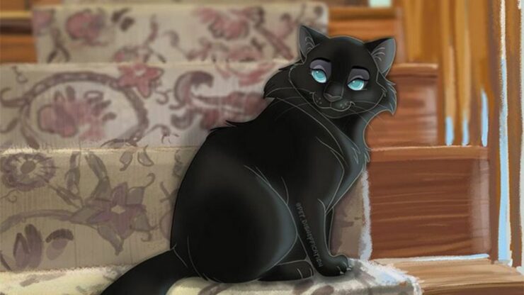 4 foto gatto