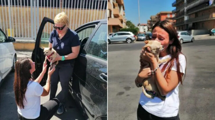 Questa donna ha perso il suo cane