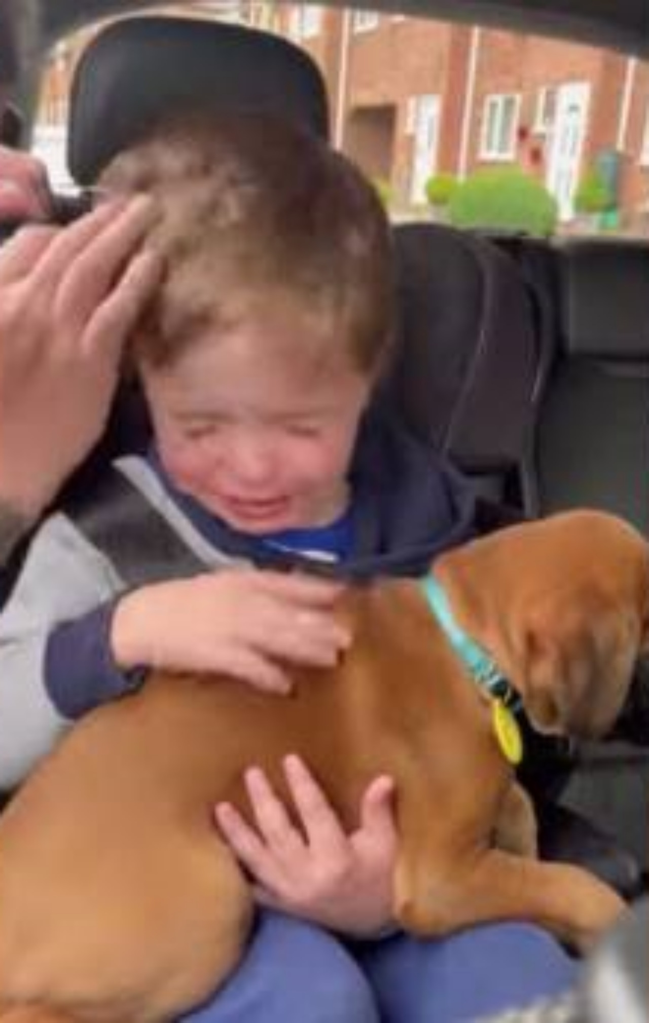 Bambino piange quando vede il cucciolo