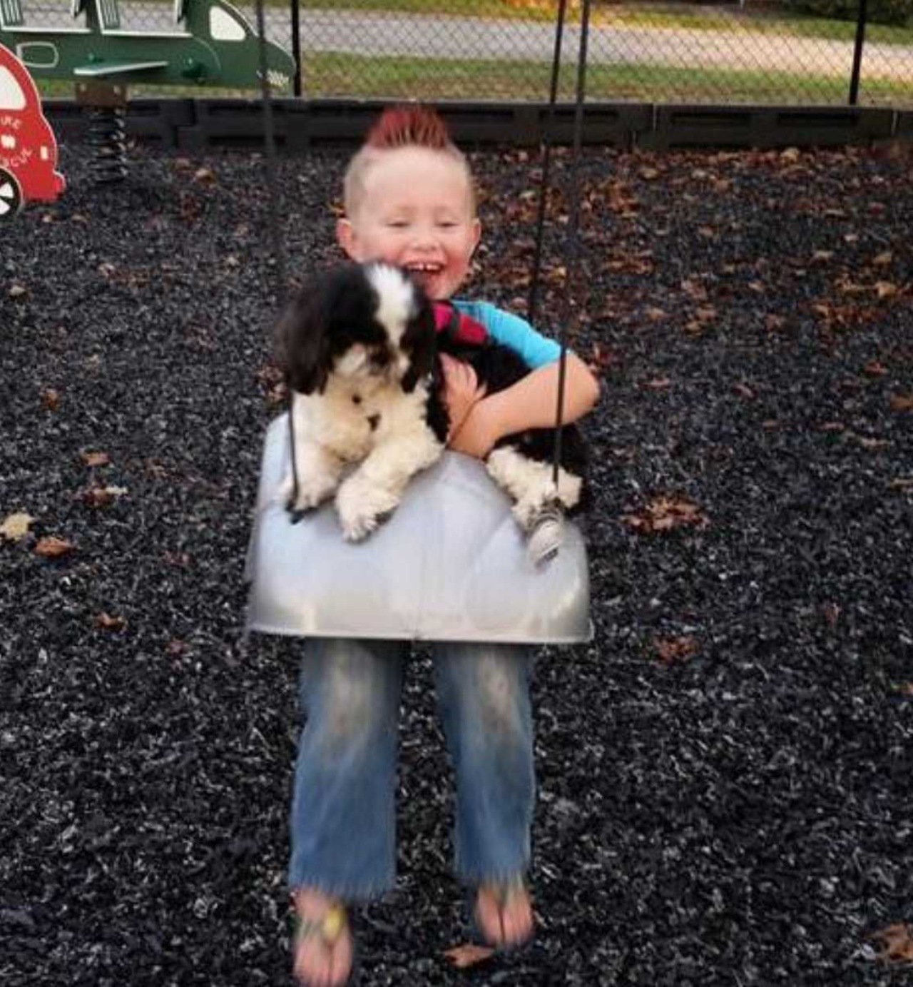 Cane con un'infezione all'orecchio rischia la vita