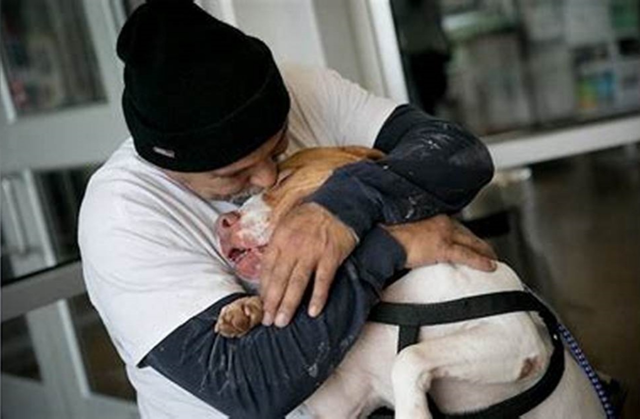 Cane si unisce in un abbraccio con il suo padrone