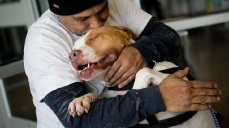 Cane si unisce in un abbraccio con il suo padrone