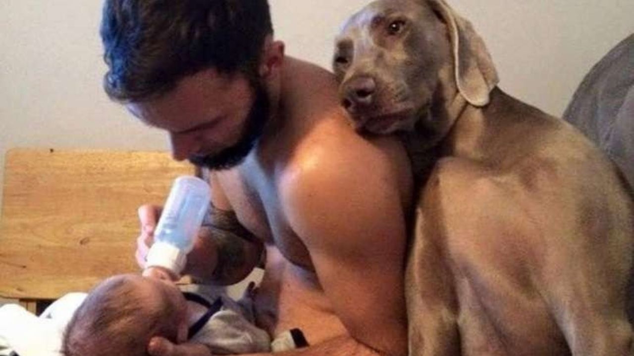 Papà allatta neonato con cane vicino
