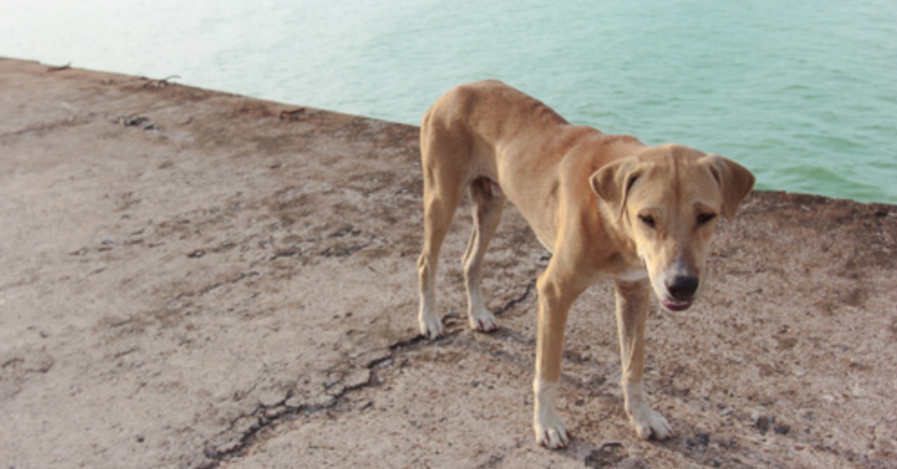 4 segnali spiaggia