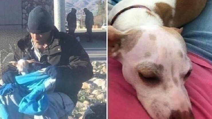 Senzatetto salva un Chihuahua che gli cambia la vita