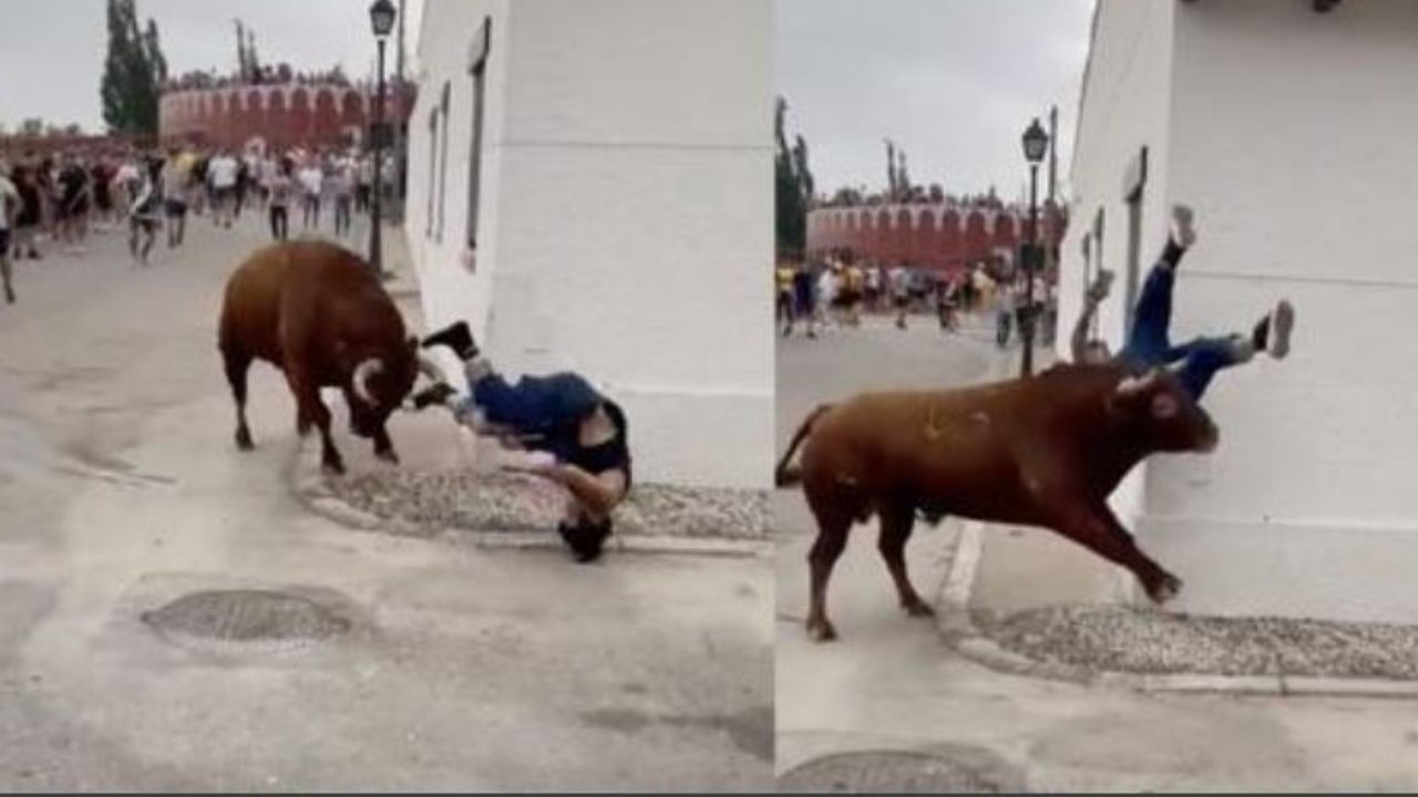un toro travolge una donna