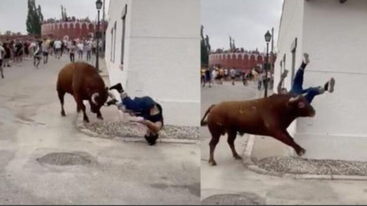 un toro incorna un ragazzo