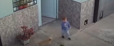 bambino fugge casa