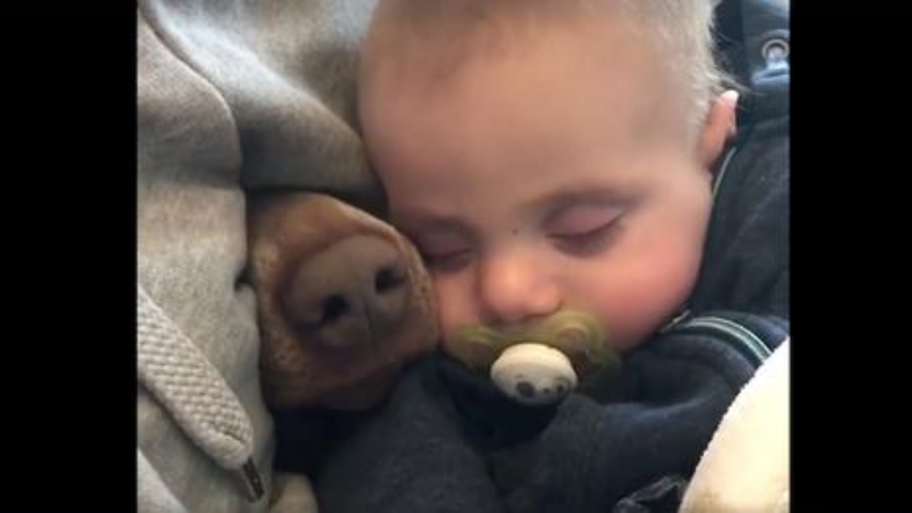 bambino e cucciolo