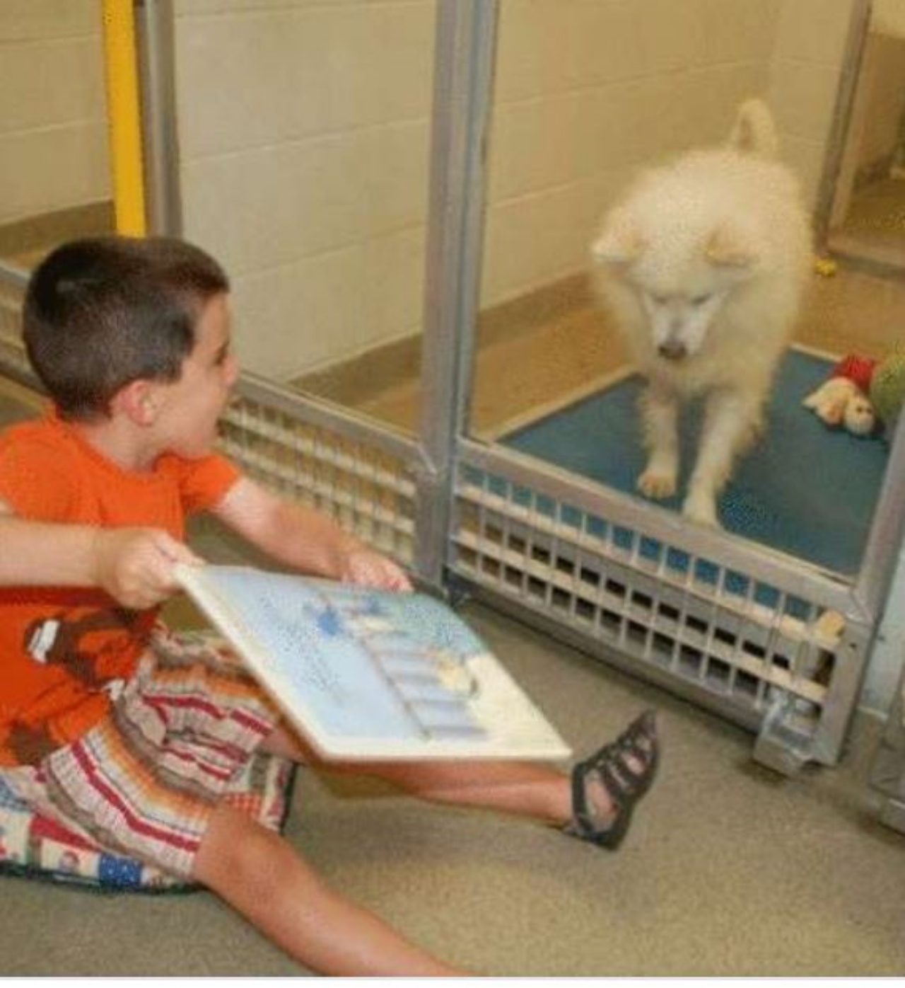 un bambino con un cane