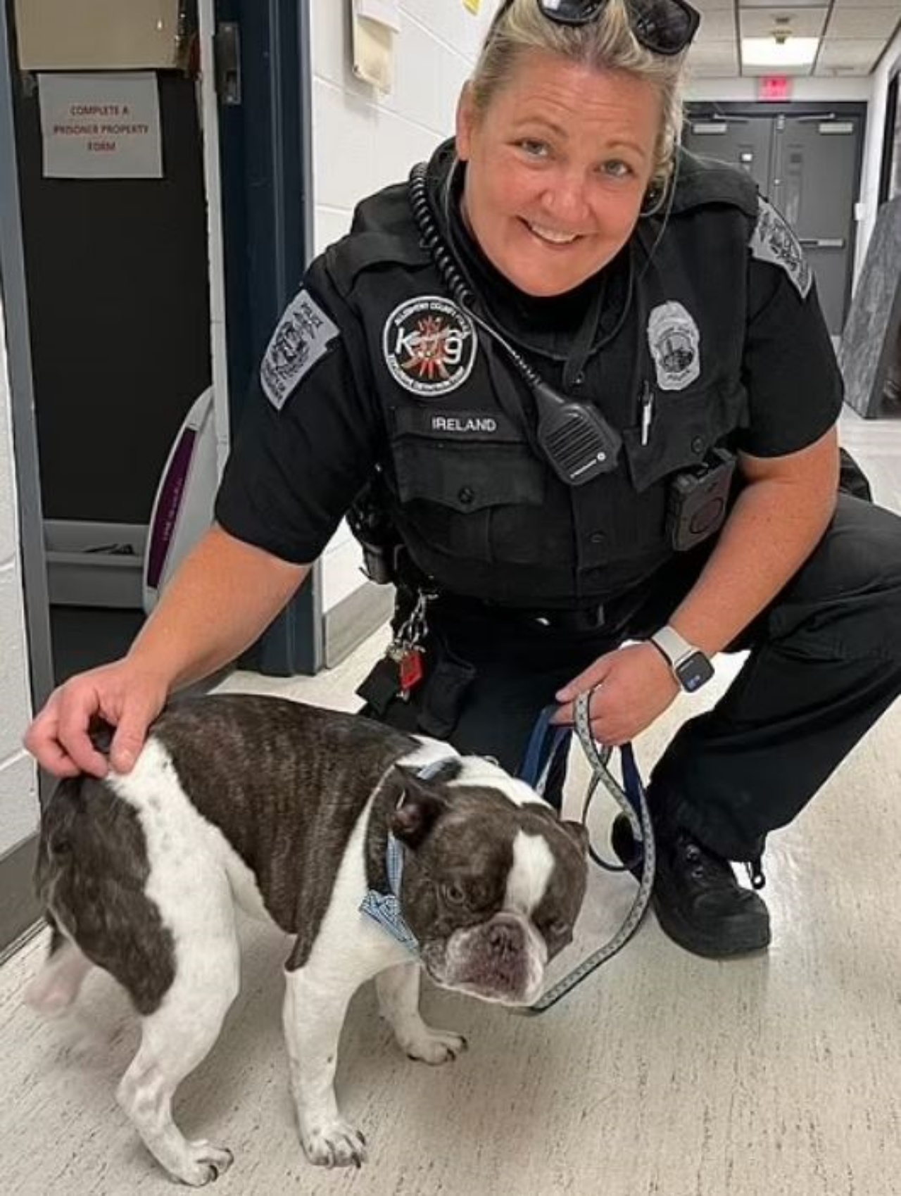 uj bulldog francese con un agente di polizia