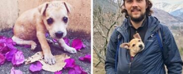 Due viaggiatrici salvano un cane in India