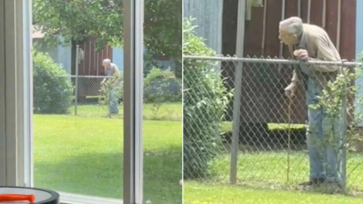 cane e signora anziana