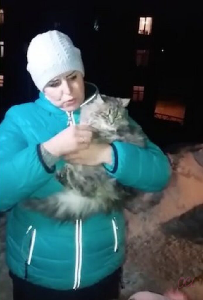 salvataggio di un gatto congelato