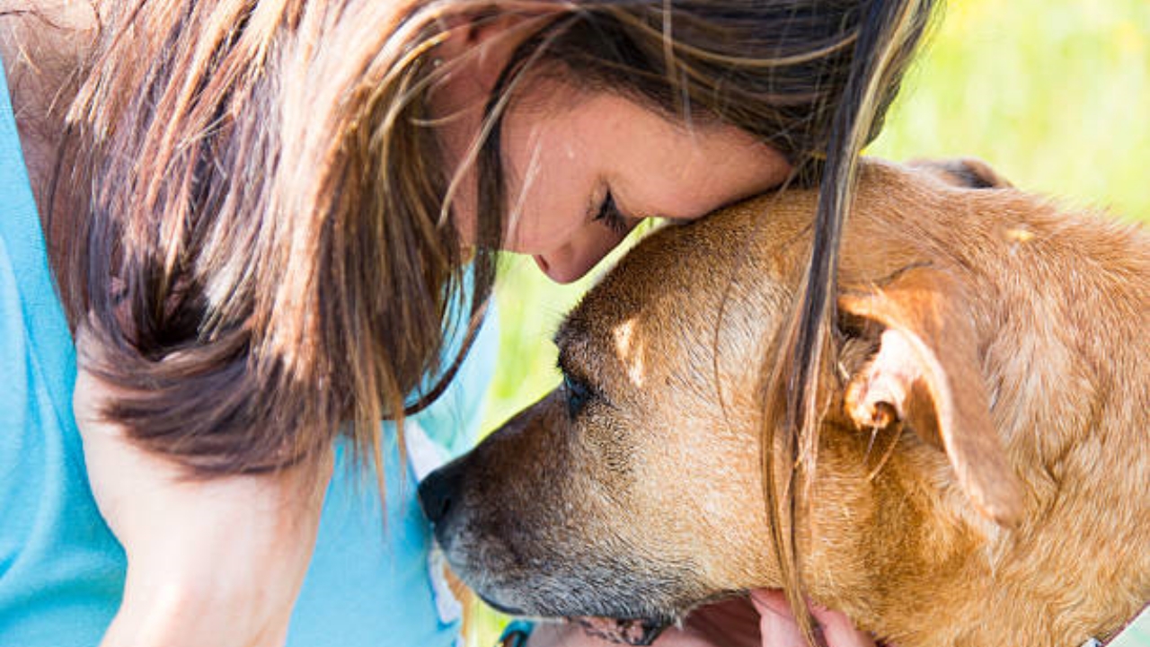 ascolto del cane