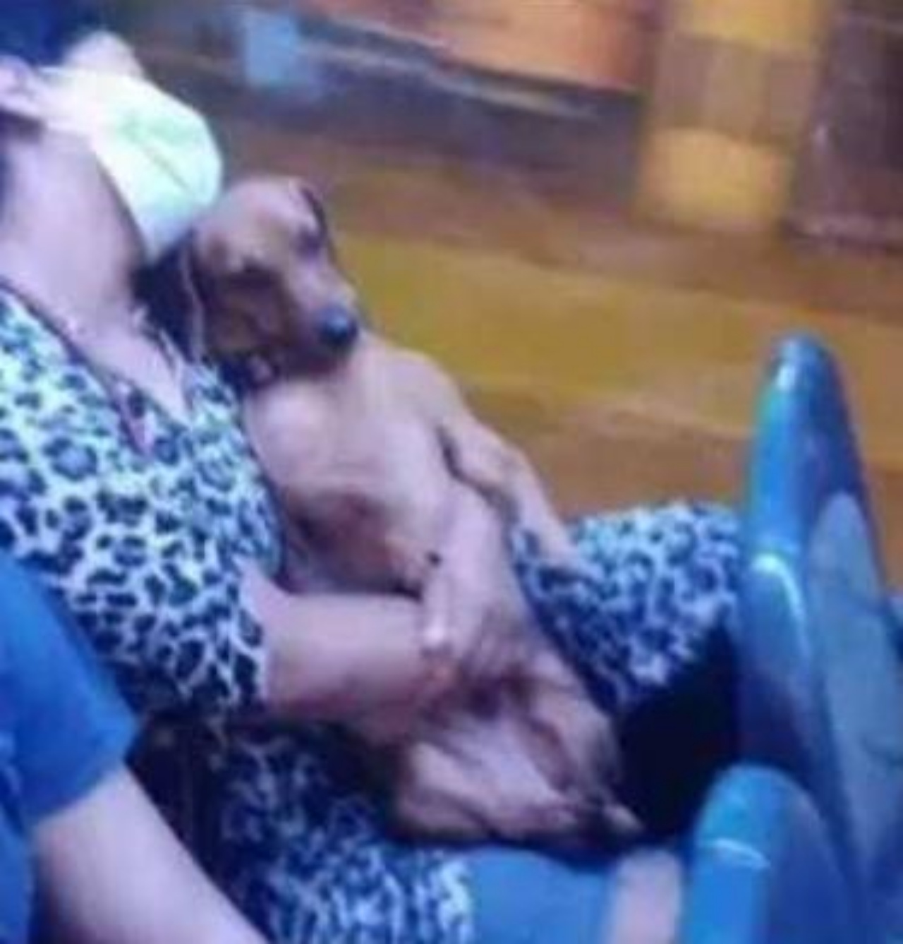 un cane con la sua mamma
