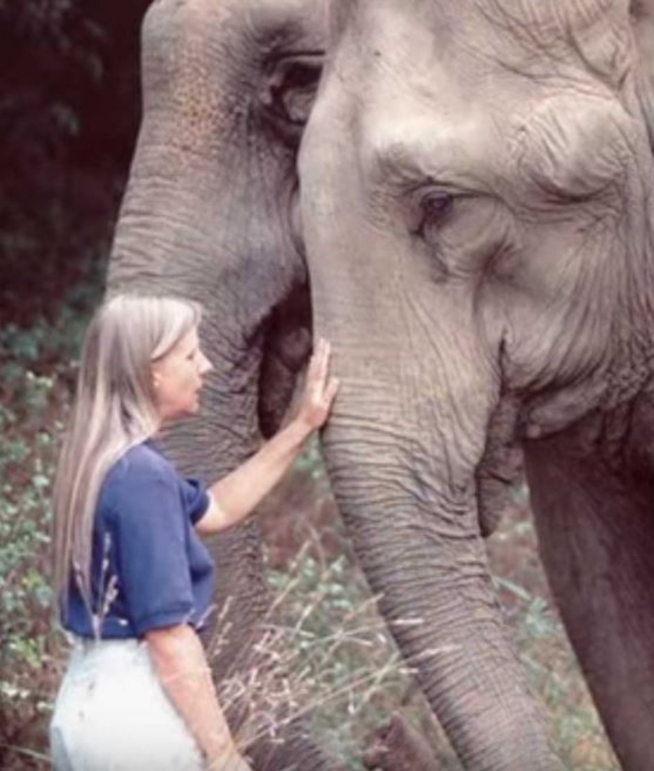 Carol con un elefante