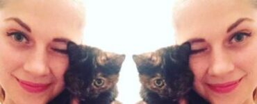 gatti sani