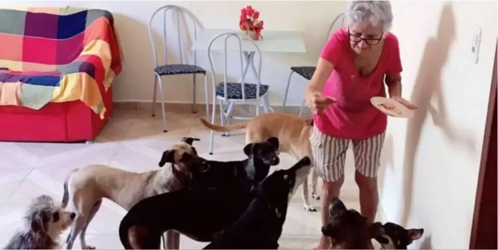 Nonna festeggia il compleanno con i suoi cani