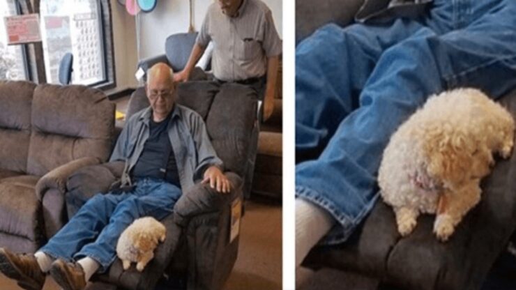 Nonno si reca al negozio di mobili con il suo cane