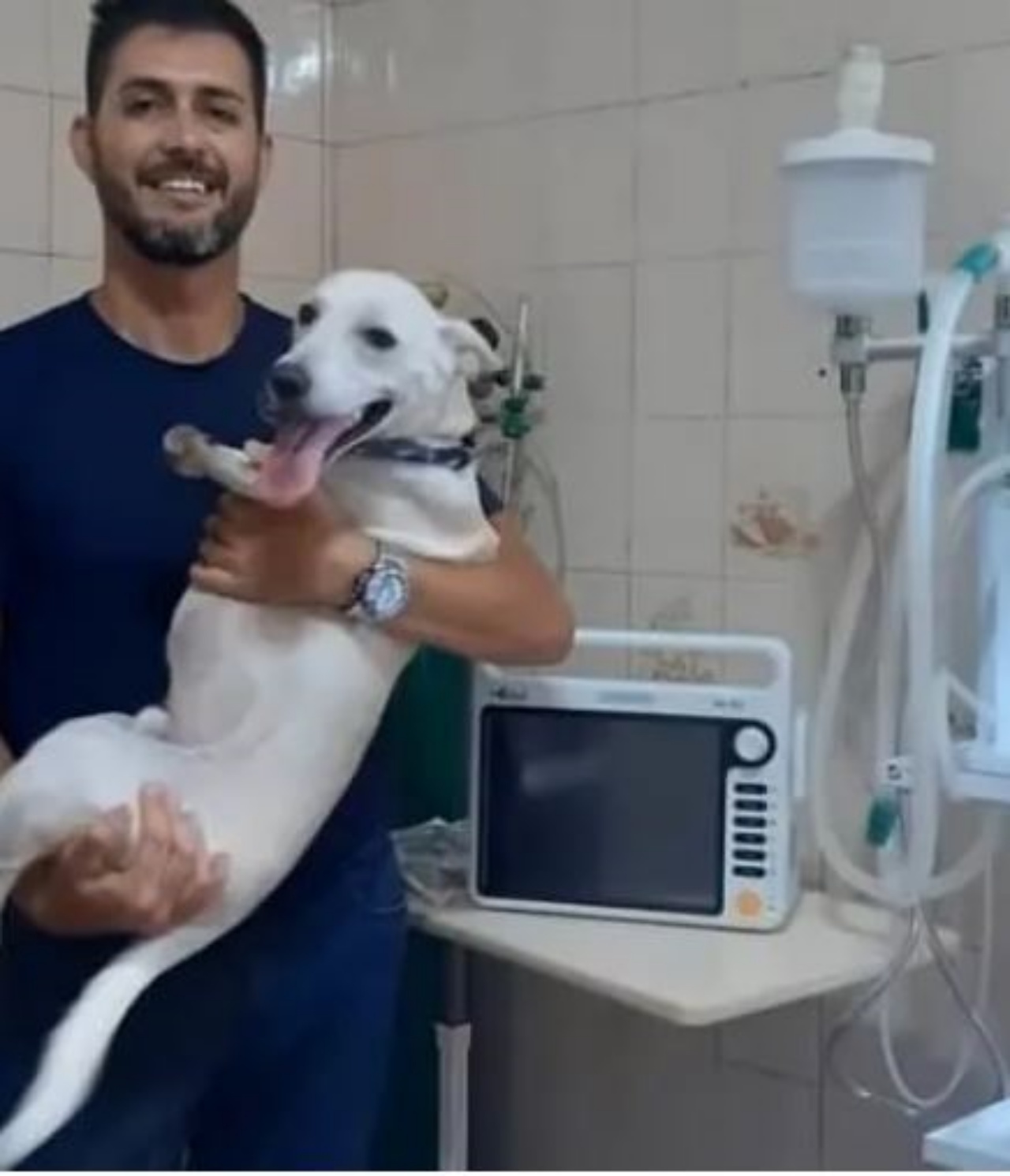 un cane in una clinica