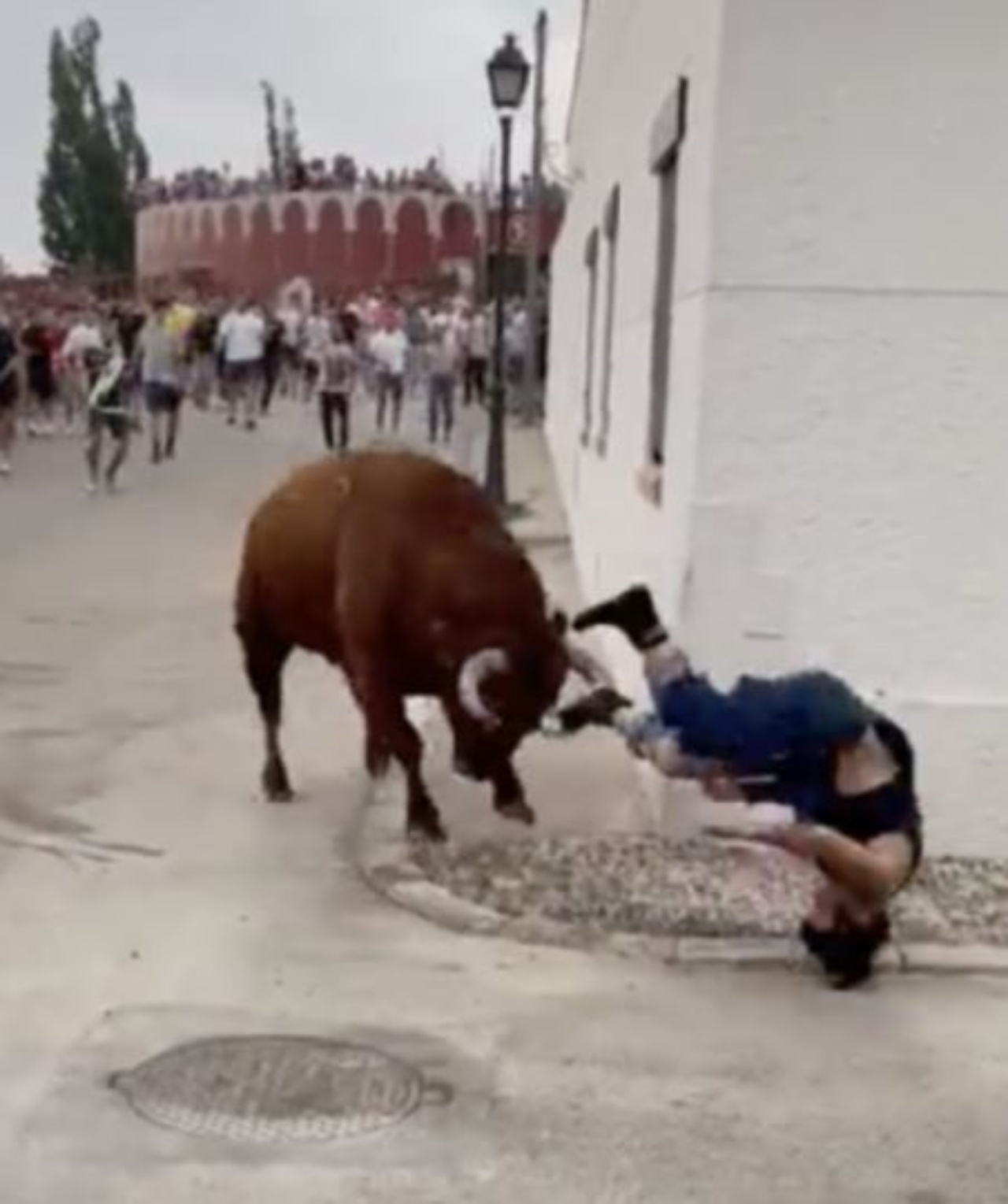 una donna travolta da un toro durante una corrida