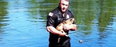 poliziotto salva un chihuahua