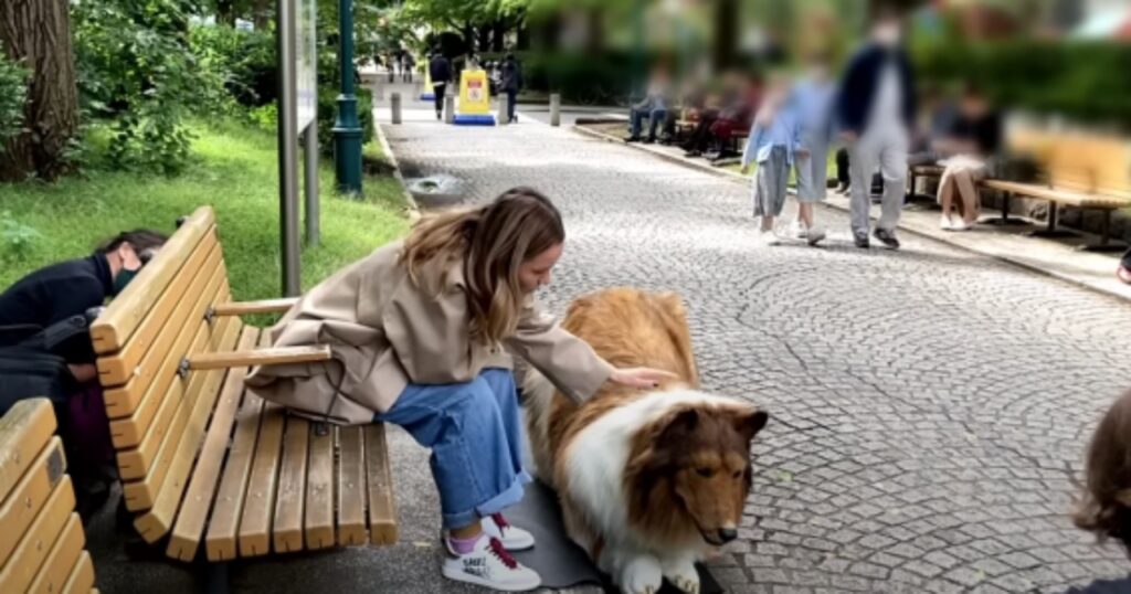 cane umano per la strada