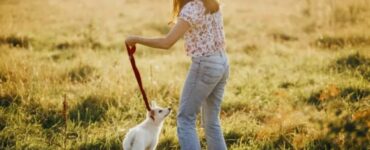 4 cose passeggio