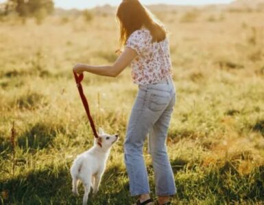 4 cose passeggio