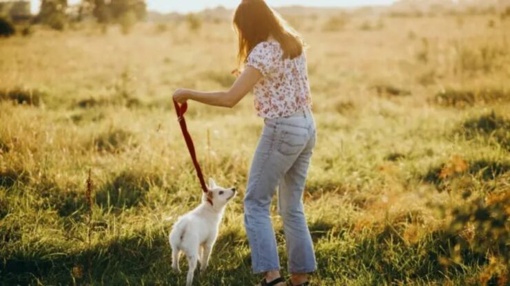 4 cose passeggio