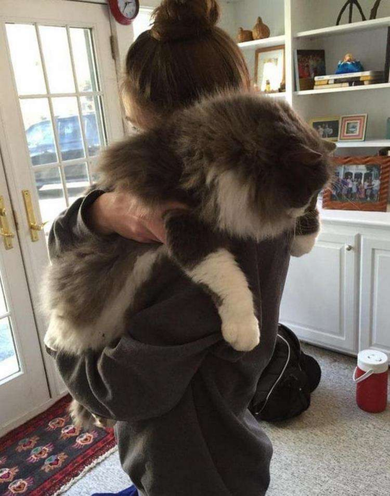 4 gatti abbraccio