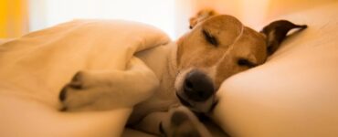 4 momenti letto