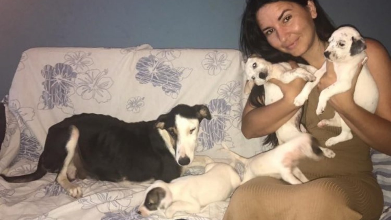 Cagnolina con i suoi cuccioli chiusi in un sacco
