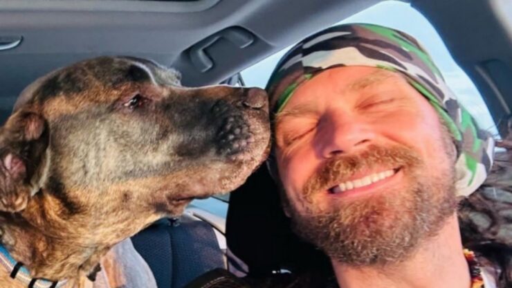 Cane cambia l'umore e si rattrista