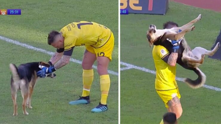Cane interrompe una partita di calcio