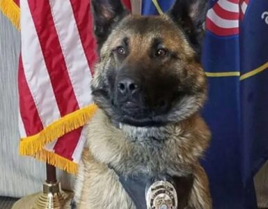 Cane poliziotto va in pensione